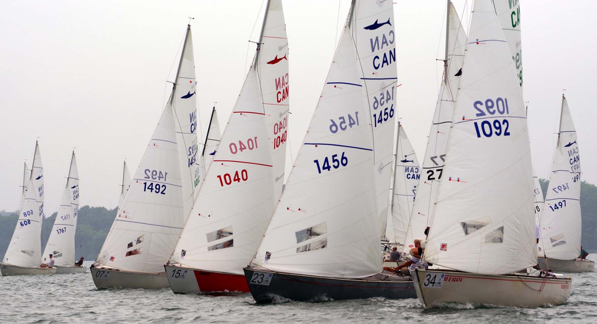 shark-worlds-2018_2000